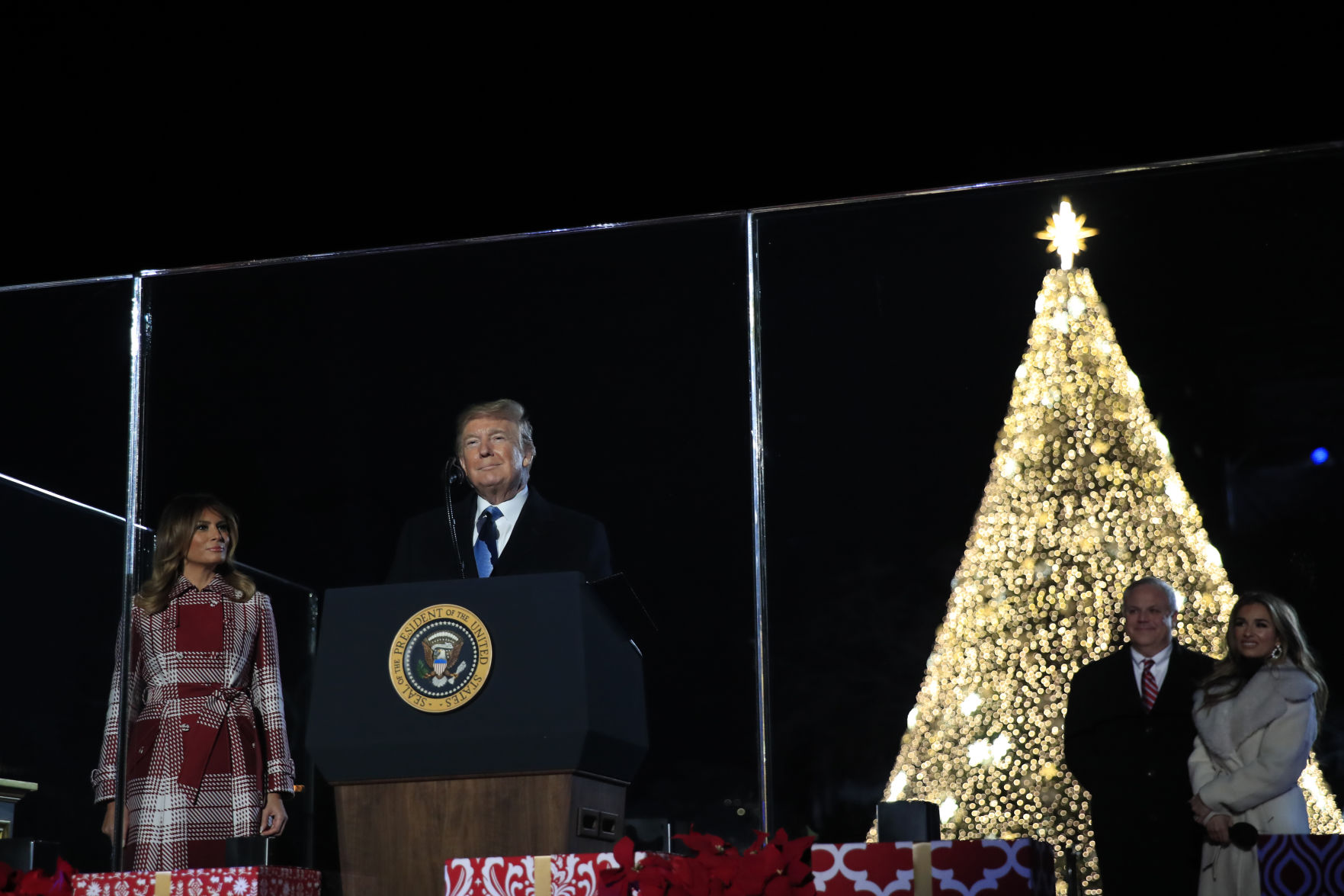 Trump Christmas Tree
